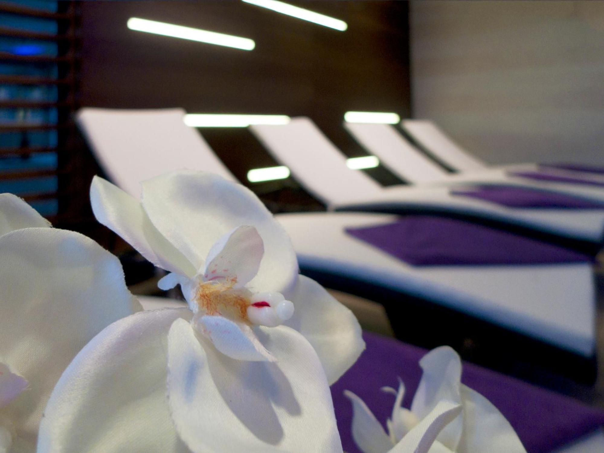 Hotel Adria Dubrovnik Bagian luar foto